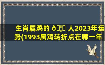 生肖属鸡的 🦆 人2023年运势(1993属鸡转折点在哪一年)